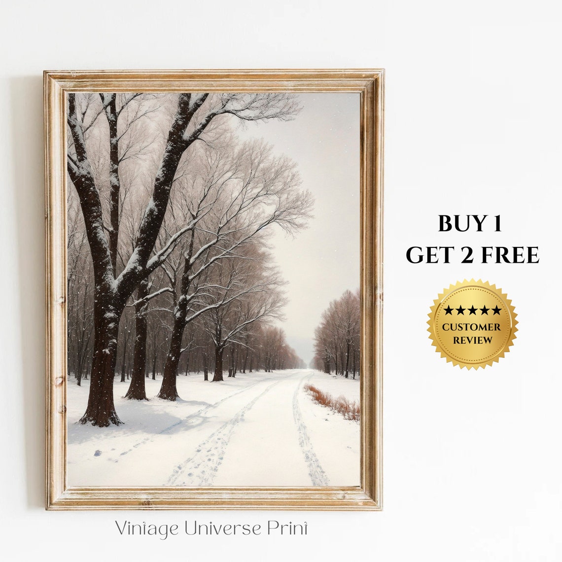 Snow Covered Road Through A Silent Winter Forest Landscape Poster
