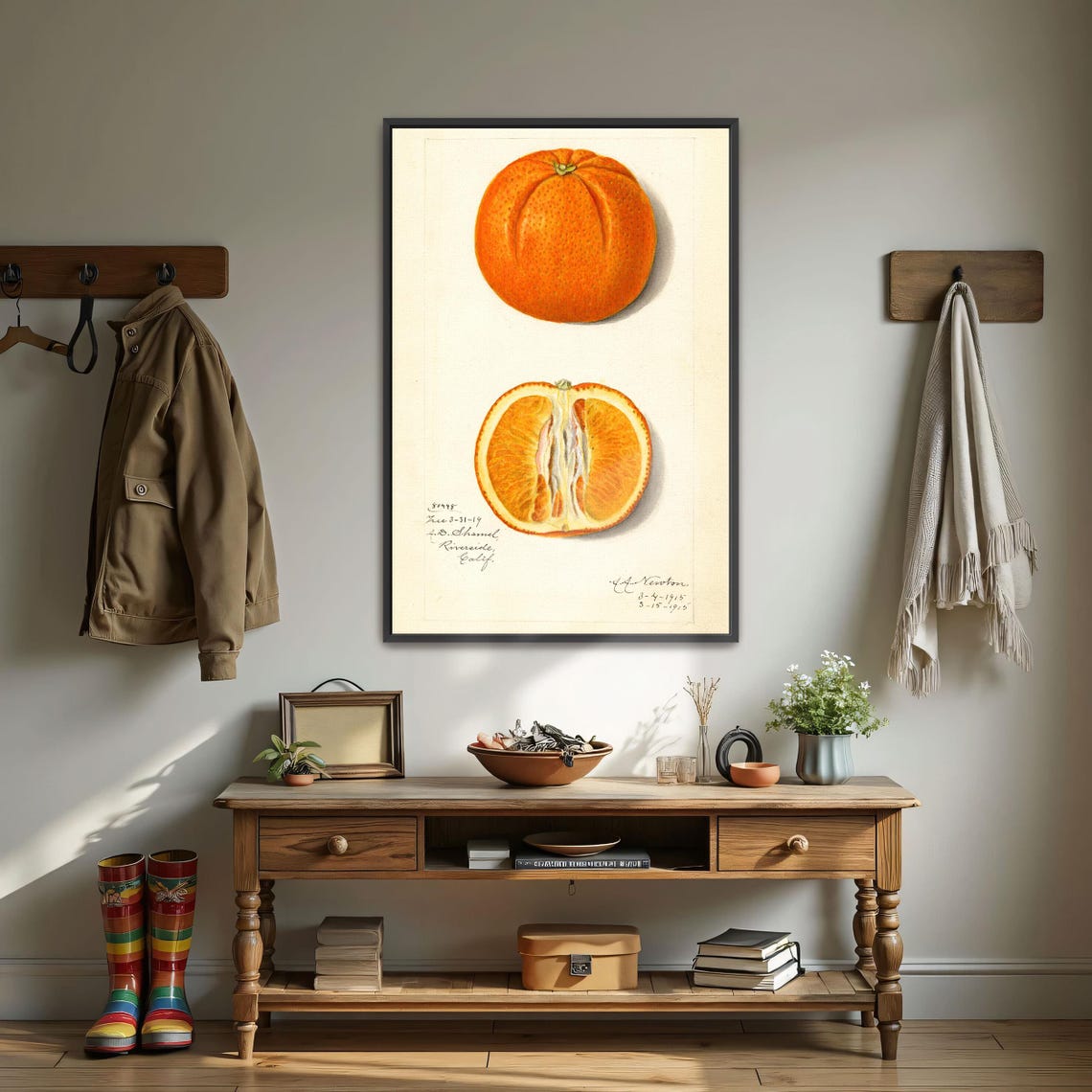 Vintage Orange Study Whole Fruit And Cut Half Botanical Art Poster