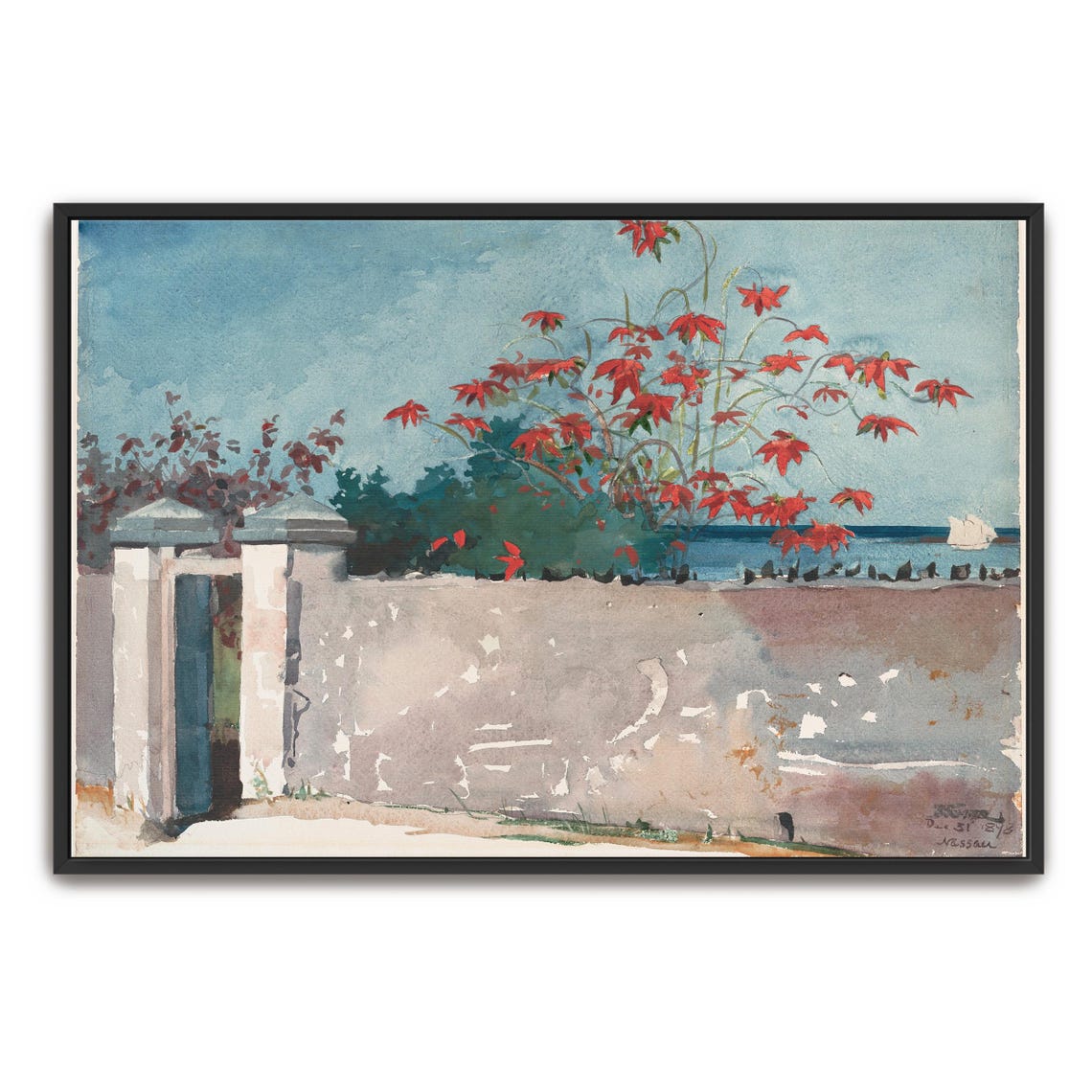 Winslow Homer Nassau Bahamas Red Poinsettia Coastal Watercolor Poster