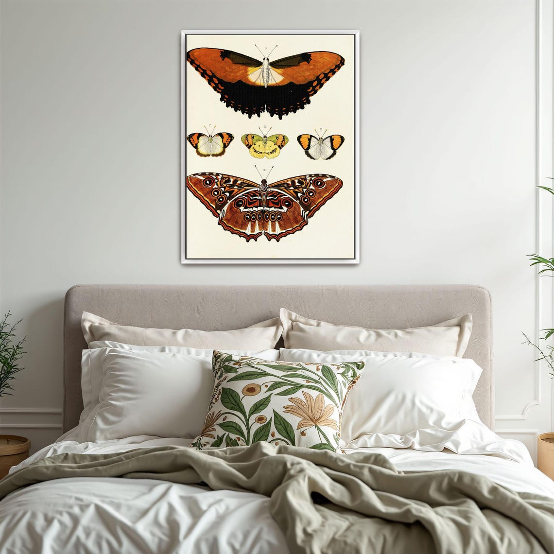Framed Wall Art Of Five Butterflies On White Background Animal Wall Art Brown And White Entryway Artwork Victorian Illustration - Image 3