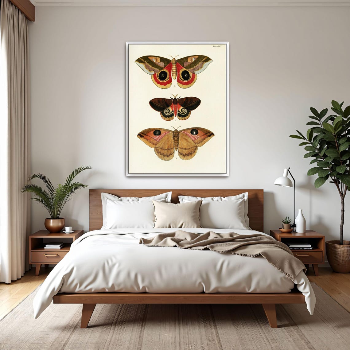 Framed Print Of Three Butterfly Specimens On White Background Animal Print Brown And Red Entryway Art Boho Artwork - Image 3