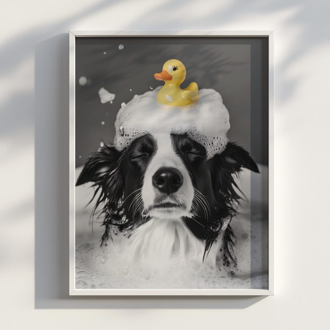 Happy Border Collie Bubble Bath Rubber Duck Fun Bathroom Poster