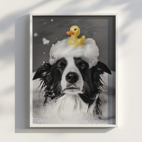 Bubbly Border Collie Cute Doggo Poster Funny Dog Bathroom Print Pet Wall Art