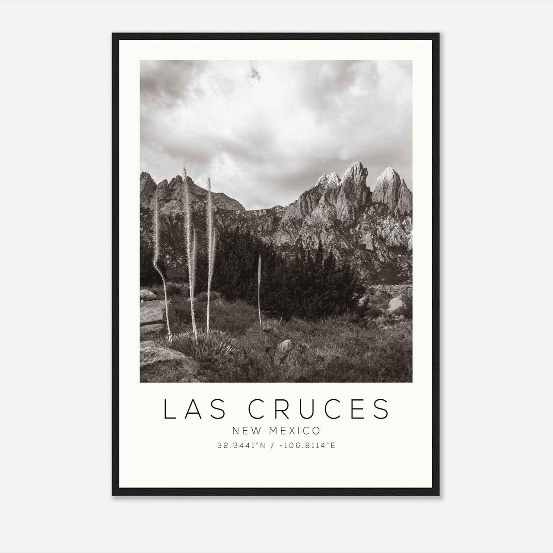 Las Cruces New Mexico Organ Mountains Desert Landscape Photo Poster