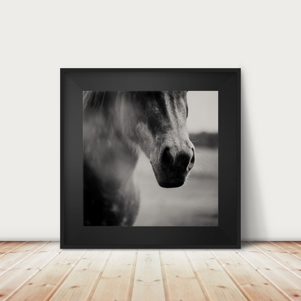 Black and White Horse Portrait, Farmhouse Art Print