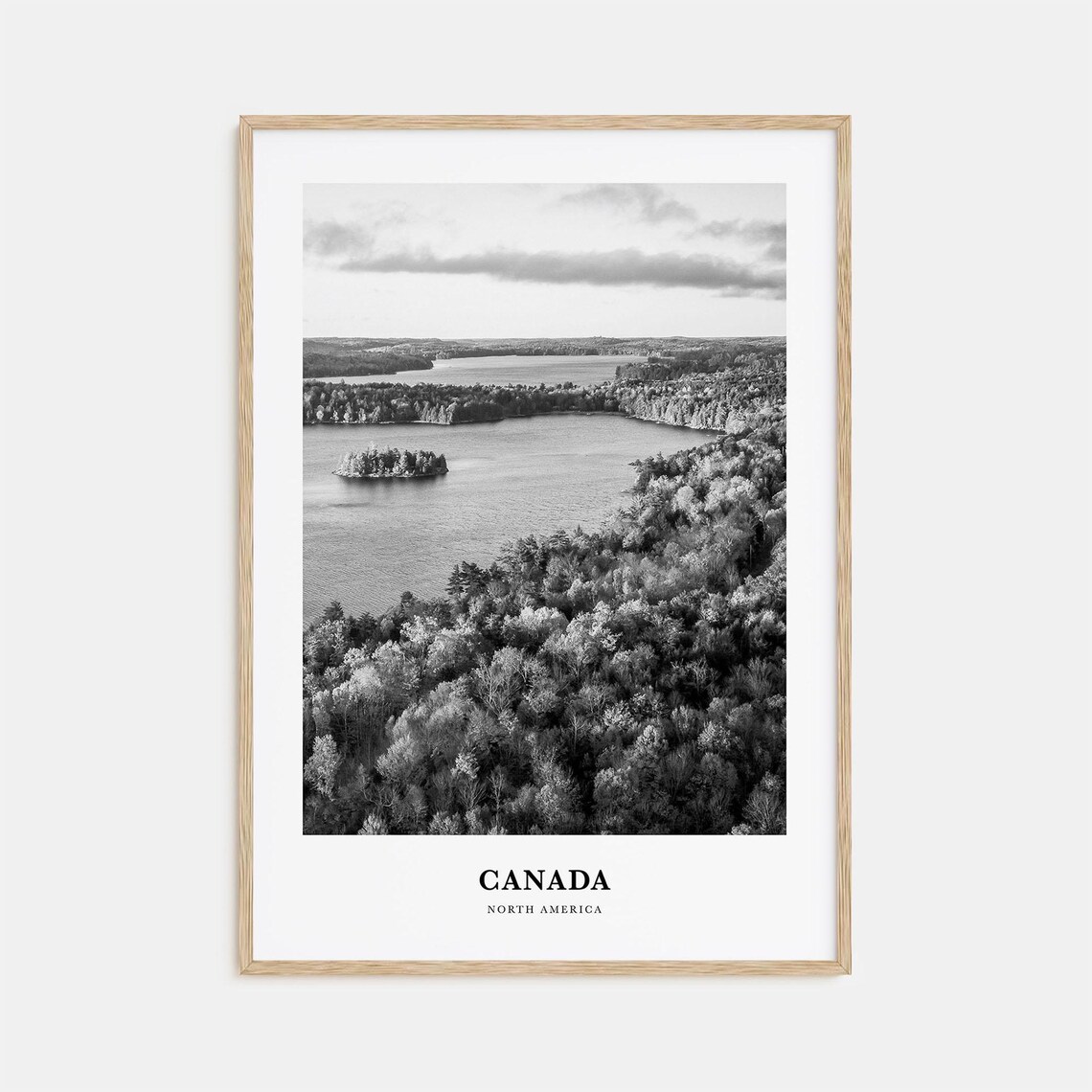 Canada North America Pine Forest Lake Aerial Monochrome Poster