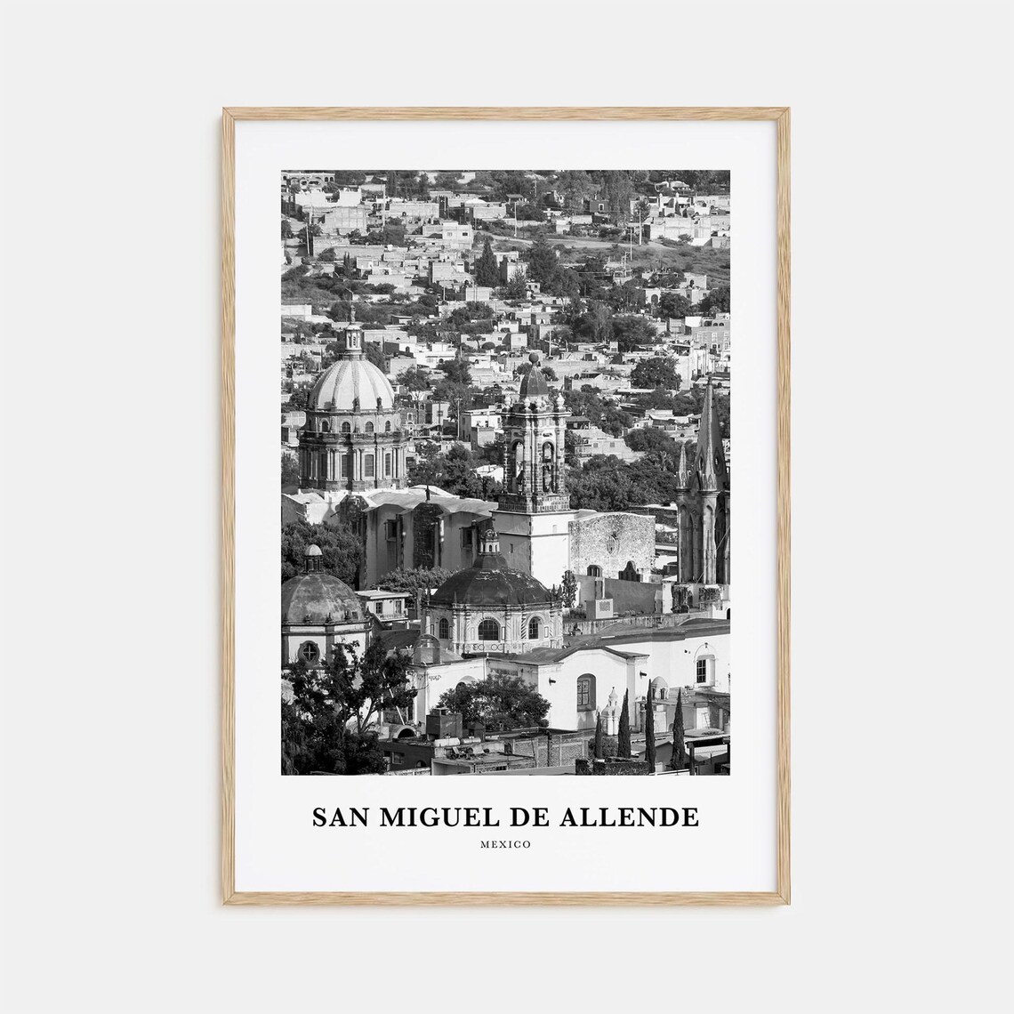 San Miguel De Allende Mexico Church Domes Black White Poster