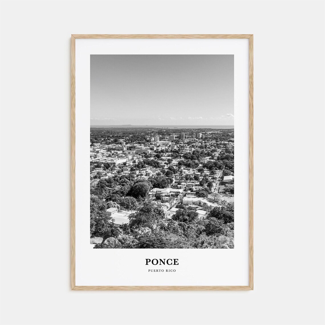 Ponce Puerto Rico City Panorama From Green Hills View Poster