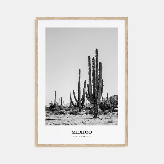 Mexico Desert Saguaro Cacti Landscape Black And White Poster