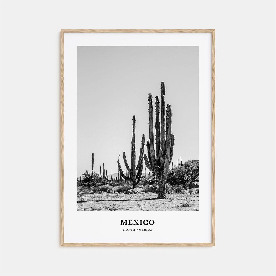 Mexico Desert Saguaro Cacti Landscape Black And White Poster