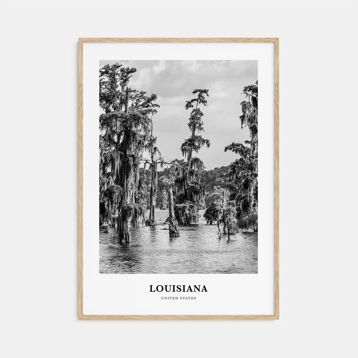 Louisiana United States Cypress Swamp Spanish Moss Black White Poster