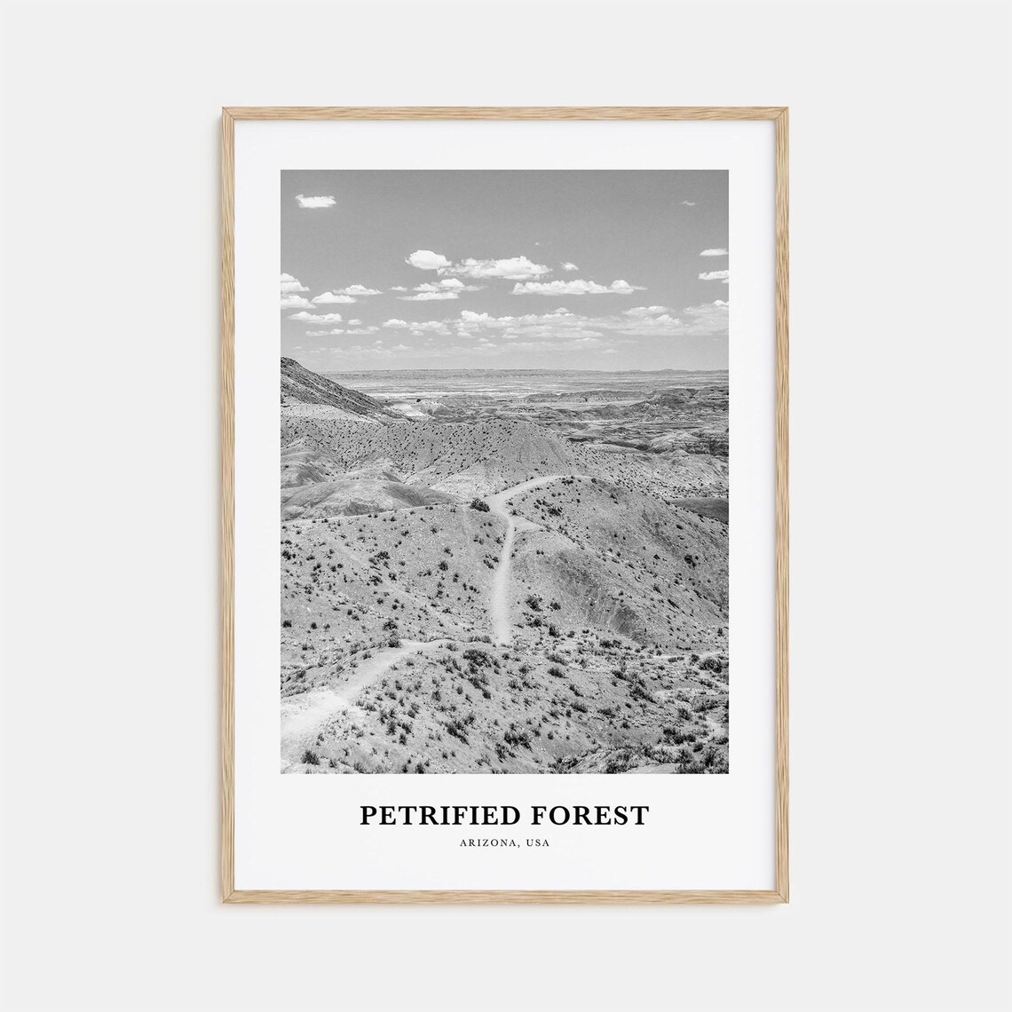 Petrified Forest Arizona Desert Badlands Black and White Poster