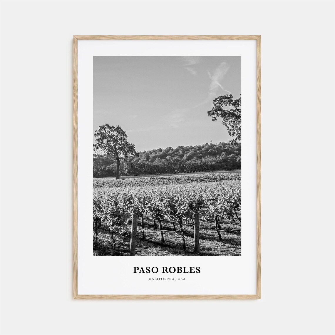 Paso Robles California Vineyard Countryside Black White Poster