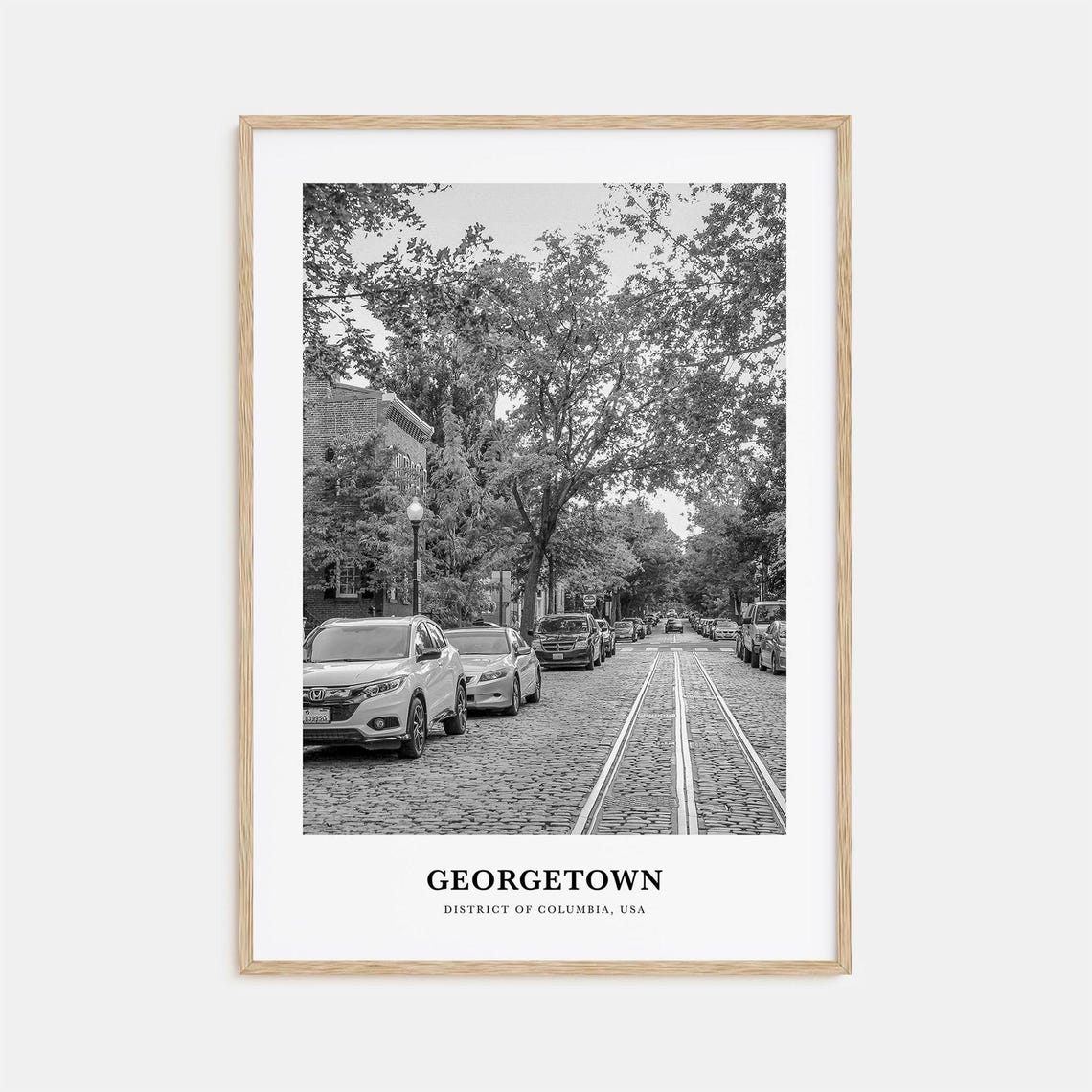 Georgetown Historic Cobblestone Street Black and White Travel Poster