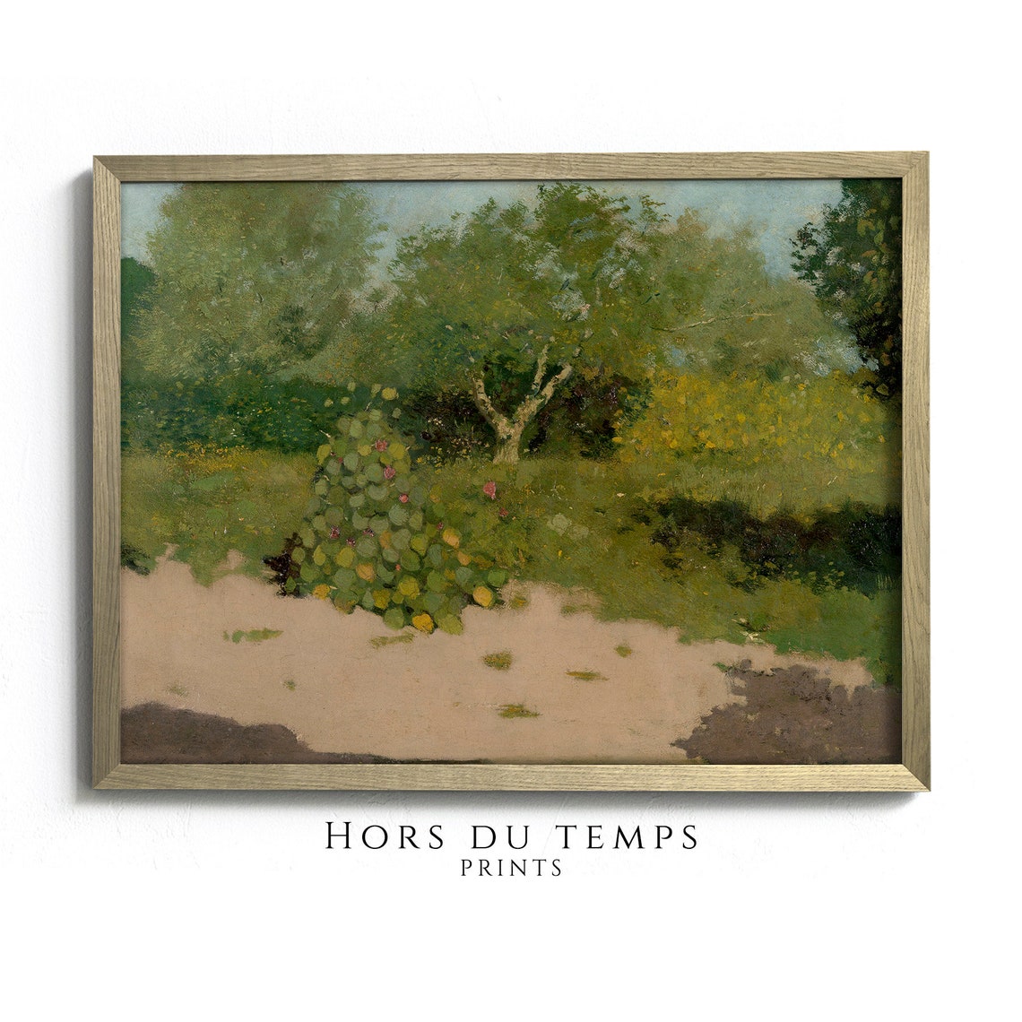 Garden Corner Cactus Blossoms Sandy Path Warm Courtyard Art Poster