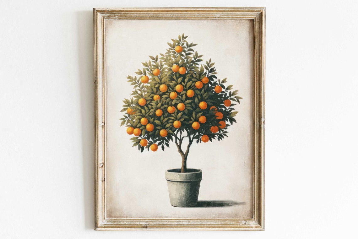 Potted Orange Tree Mediterranean Botanical Citrus Kitchen Poster