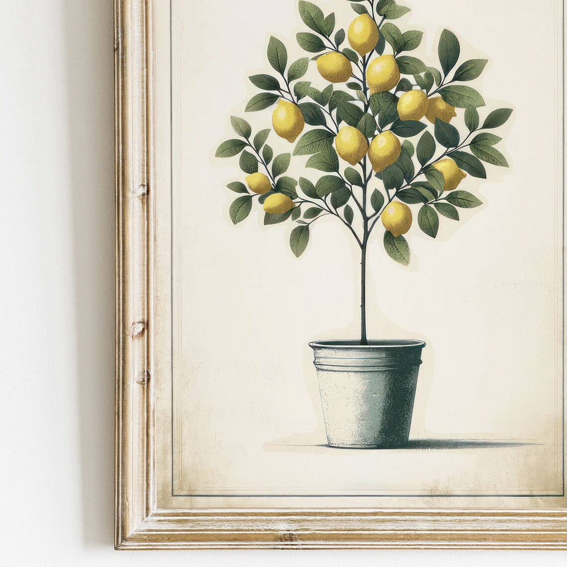 Lemon Tree Print, Mediterranean Farmhouse Art - Image 2