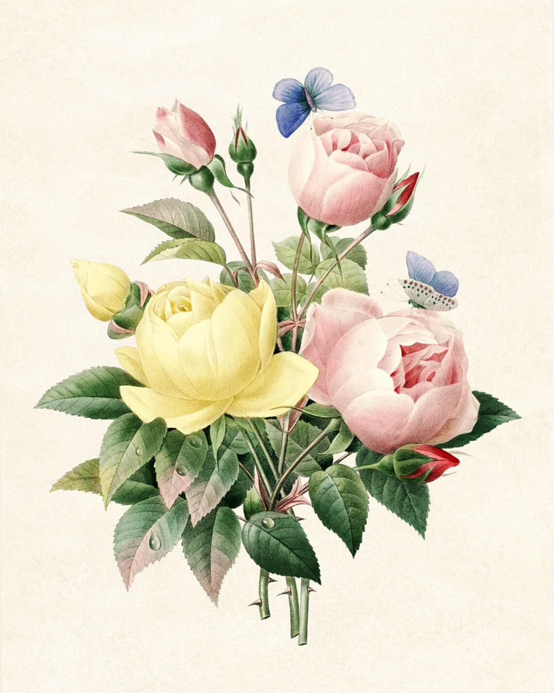 Rose Bouquet Vintage Illustration Art Print - Image 3