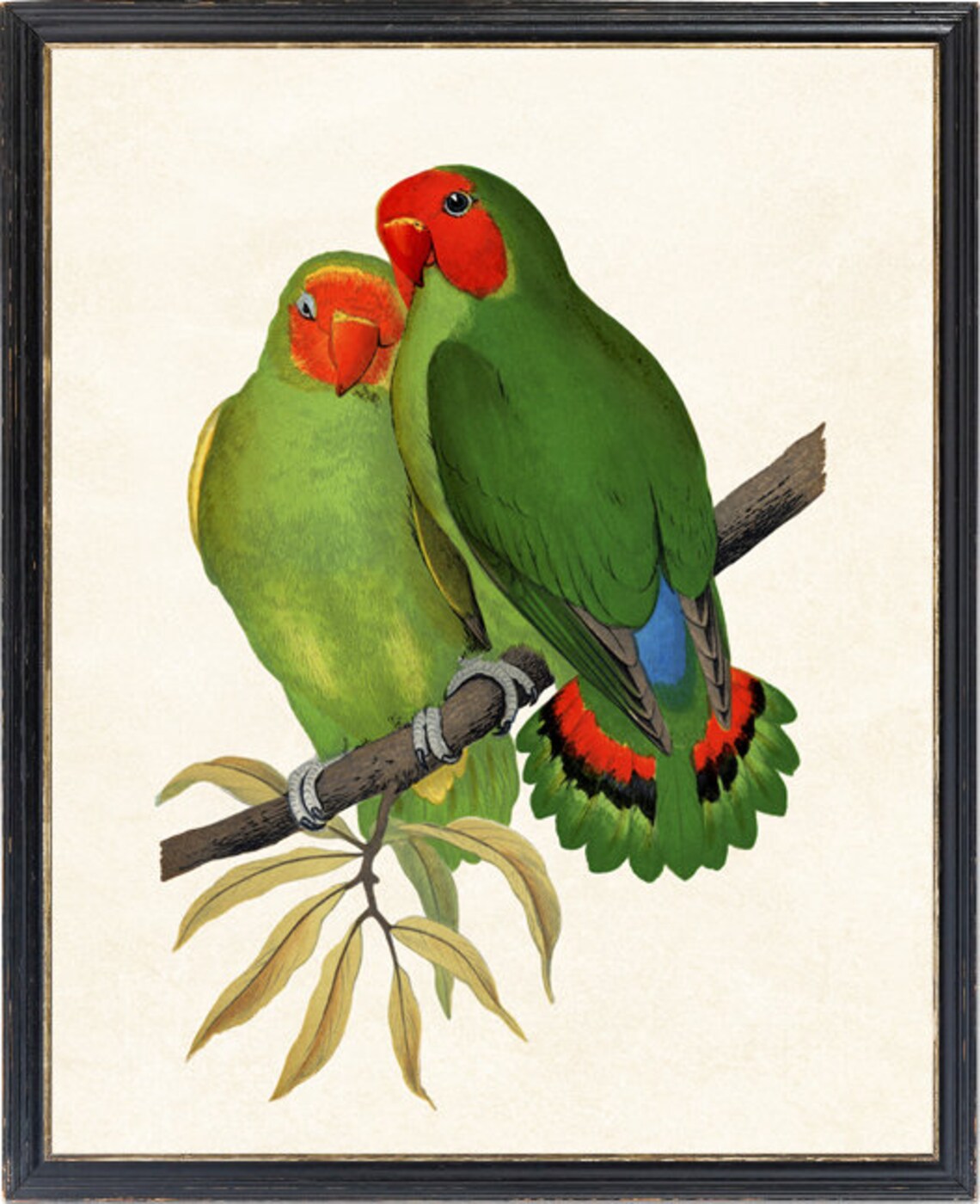 Pair of Red Headed Lovebirds on Branch Vintage Bird Art Poster - Image 2