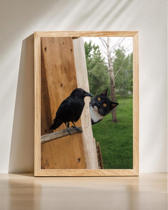 Funny Cat And Crow Wall Art Animal Humor Photography Print Poster Lover Gift Mom