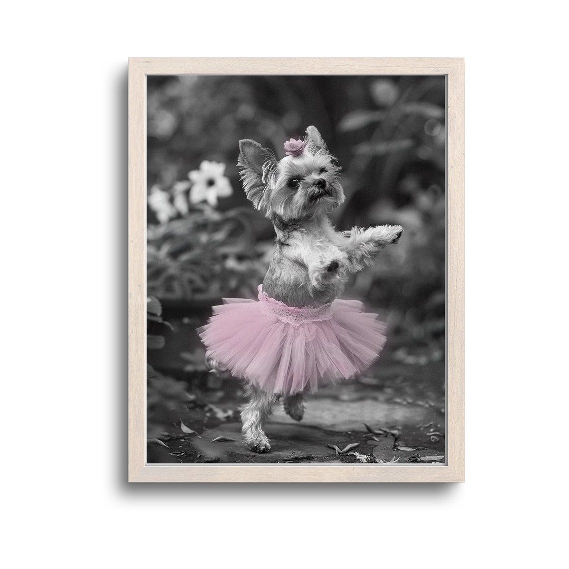 Yorkie Puppy Pink Tutu Ballerina Funny Black White Photo Poster