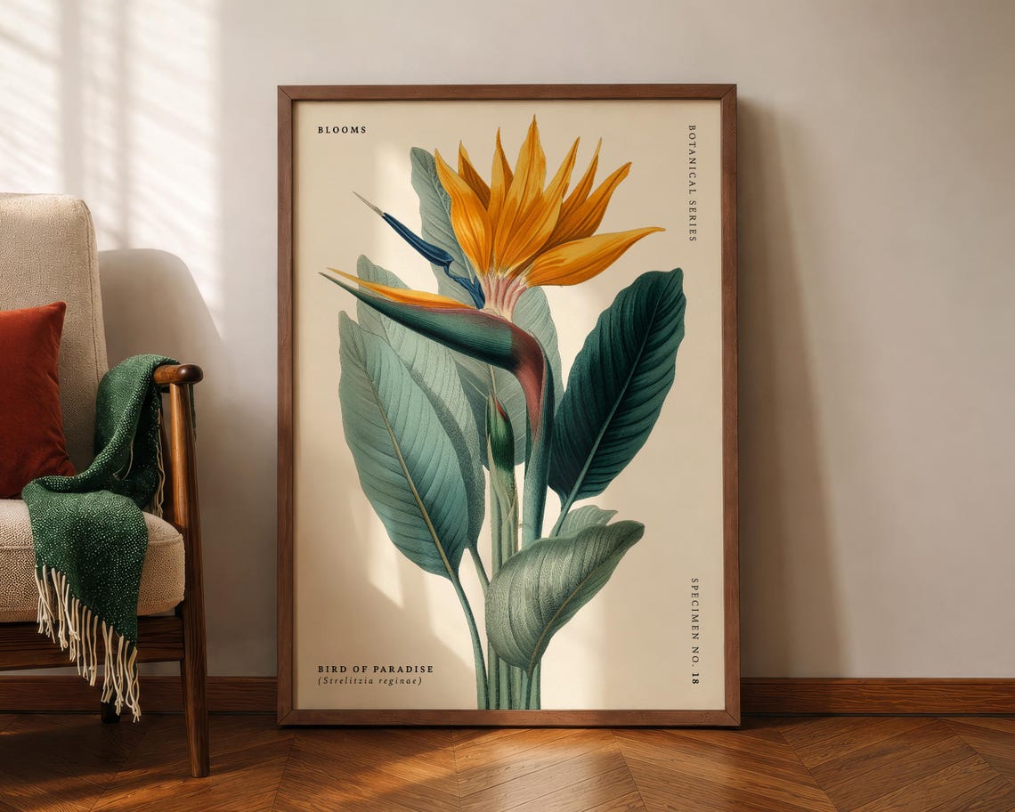 Bird of Paradise Strelitzia Vintage Botanical Specimen Poster