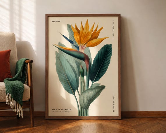 Bird Of Paradise Strelitzia Reginae Botanical Poster Tropical Flower Illustration Vintage Floral Wall Art