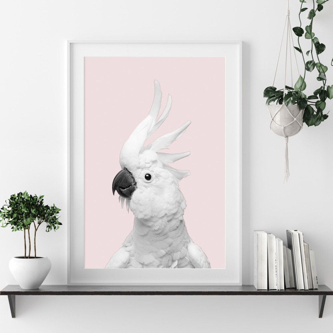 Sulphur Crested Cockatoo Portrait On Blush Pink Background Bird Poster - Image 3