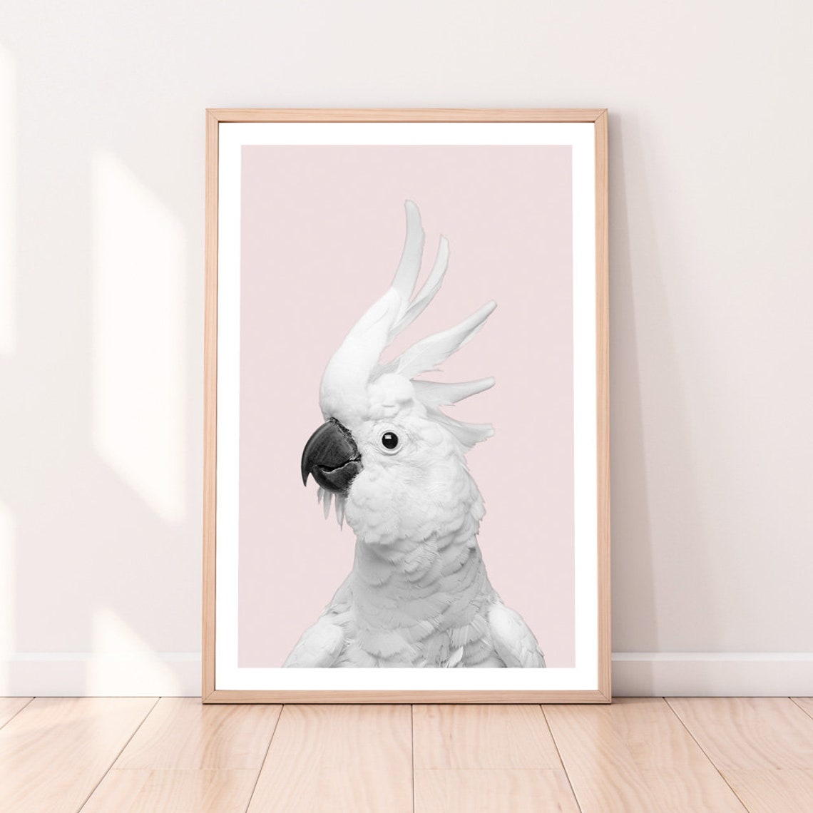 Sulphur Crested Cockatoo Portrait On Blush Pink Background Bird Poster