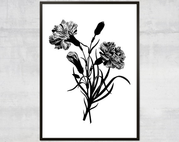 Vintage Bouquet Black And White Botanical Art Print