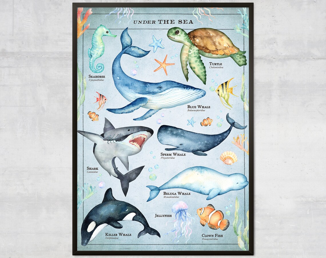 Kids Ocean Art Print, Under The Sea Chart