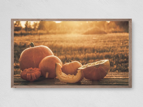 Pumpkin Table Frame TV Art, Fall Pumpkins Poster