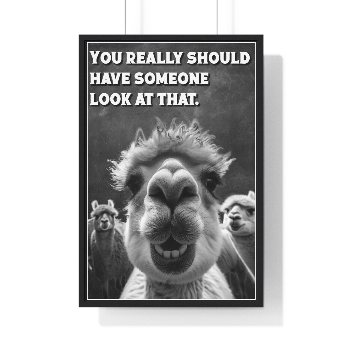 Black And White Goofy Alpaca Selfie Someone Look At That Funny Bathroom Poster