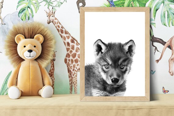 Baby Wolf Pup Portrait in Black and White Nursery Style Poster