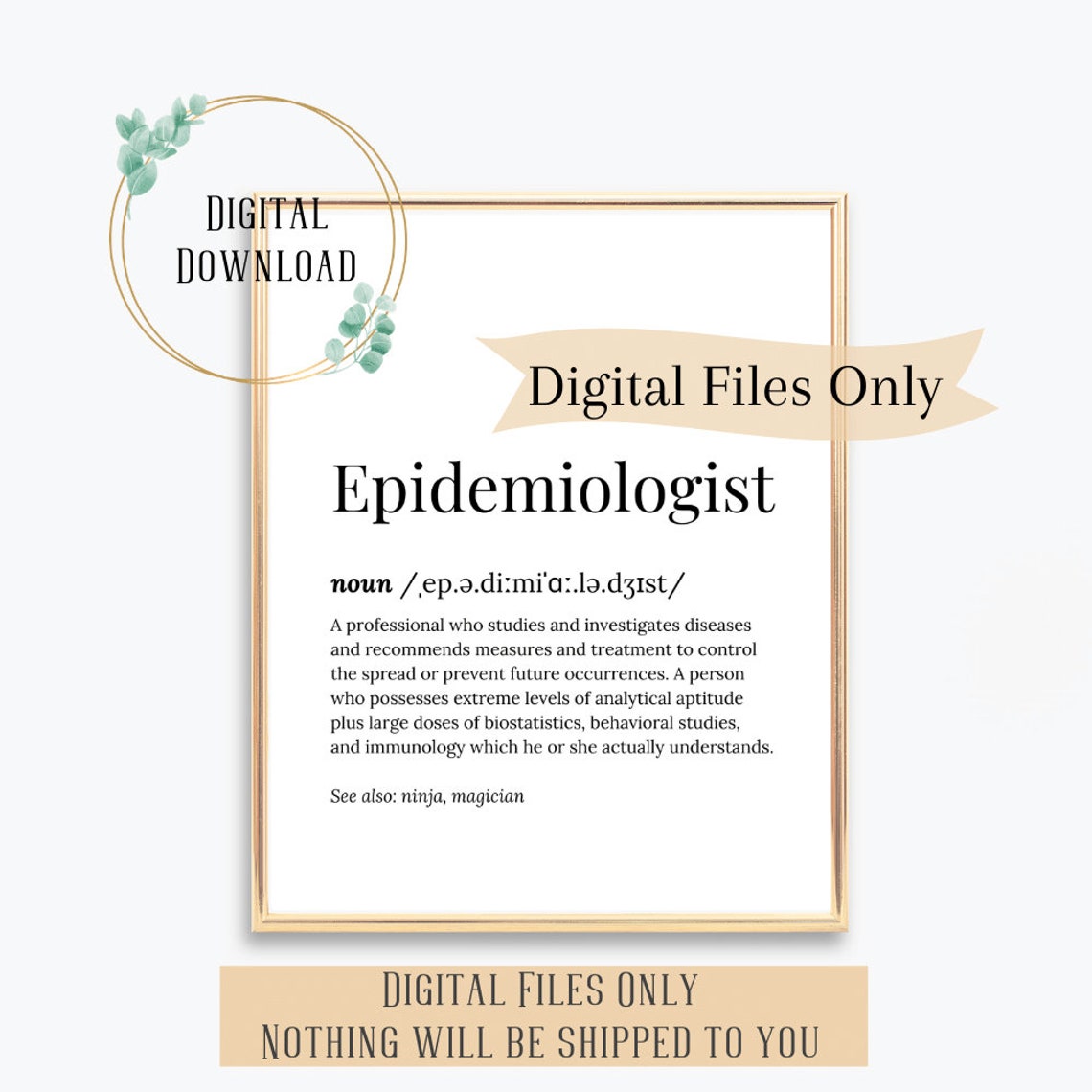 Epidemiologist Definition Dictionary Serif Funny Ninja Wizard Poster