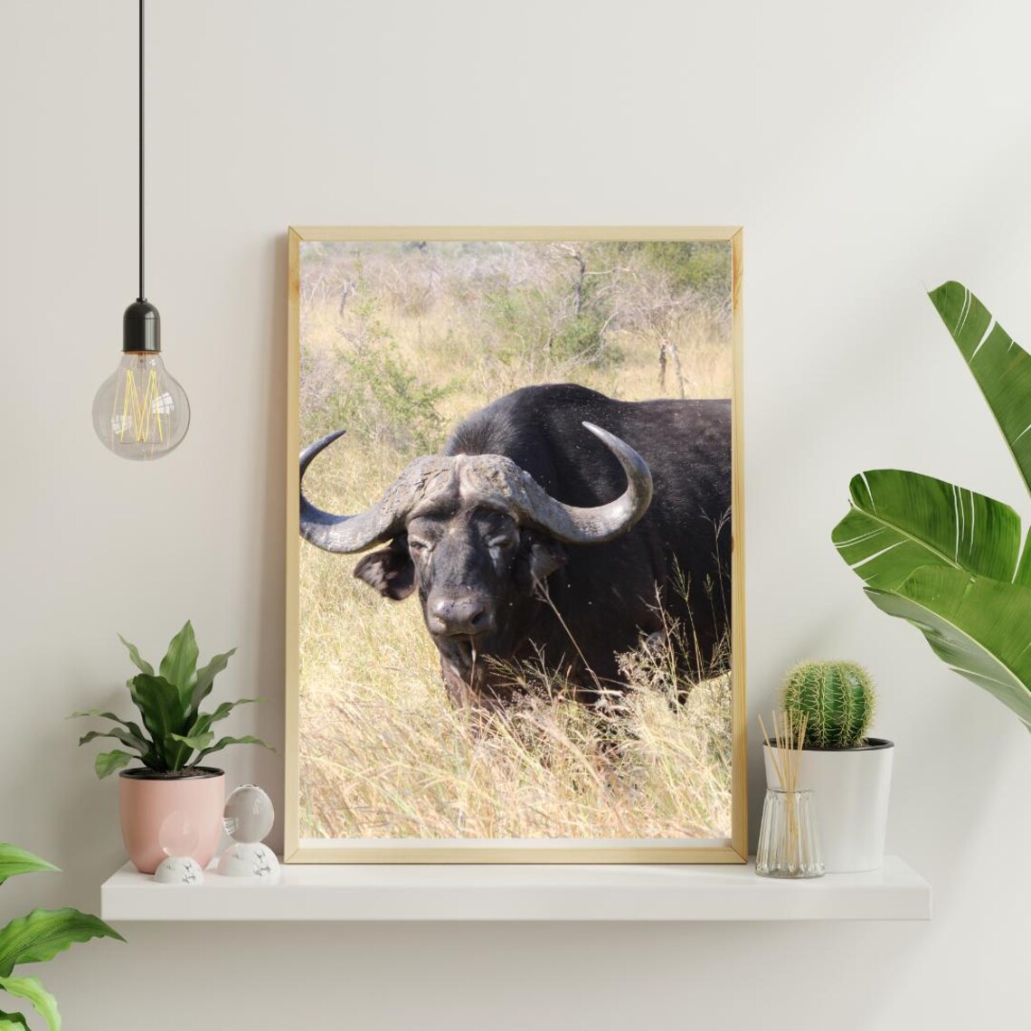 Rustic Buffalo Art, Africa's Game Reserves - Image 4