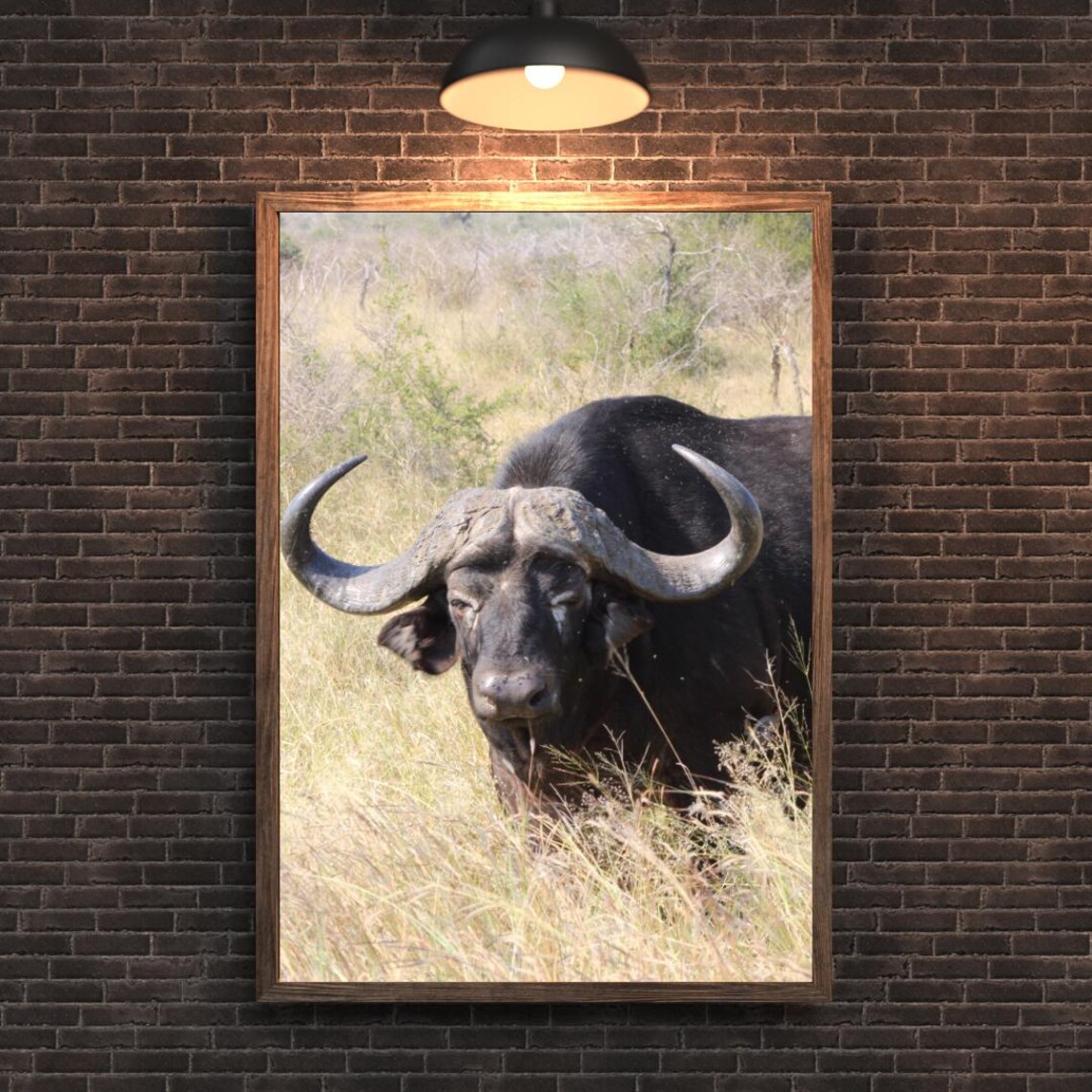 Rustic Buffalo Art, Africa's Game Reserves - Image 2