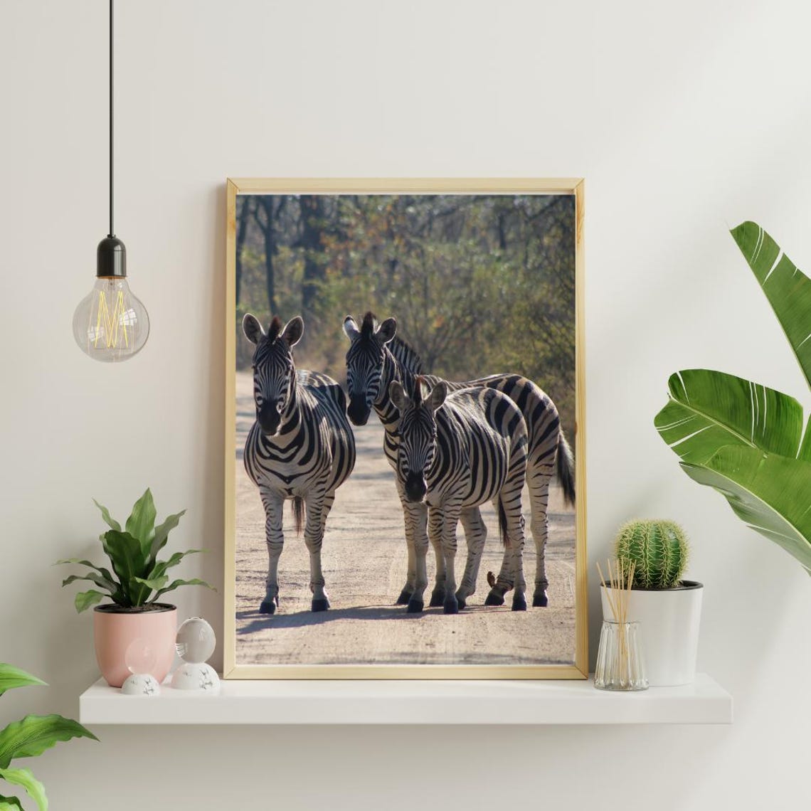 Three Zebras Standing On A Dusty Safari Road Facing The Camera Poster - Image 4