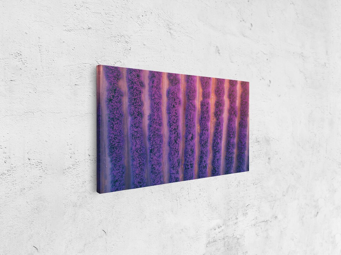 Lavender Field Sunset, Tranquil Landscape Art Print - Image 4