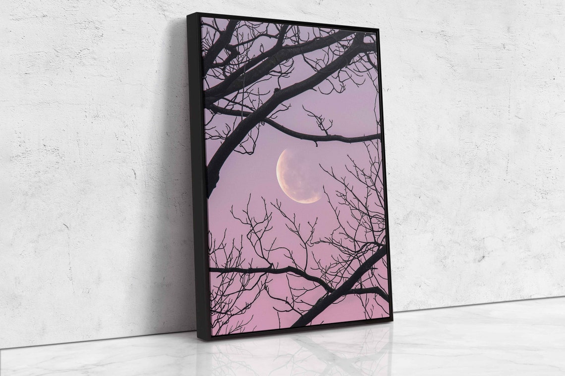Crescent Moon Through Bare Branches Pink Twilight Sky Poster - Image 4
