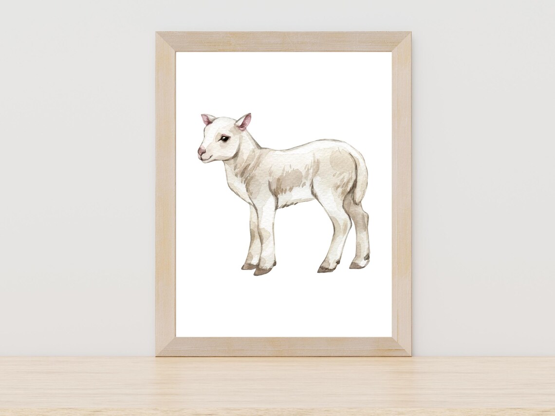 White Lamb Watercolor Painting Cute Baby Sheep Farm Animal Poster