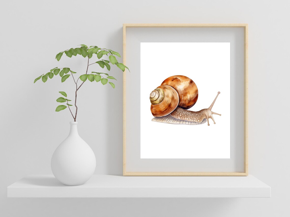 Garden Snail Watercolor Detailed Spiral Shell Nature Art Poster - Image 2