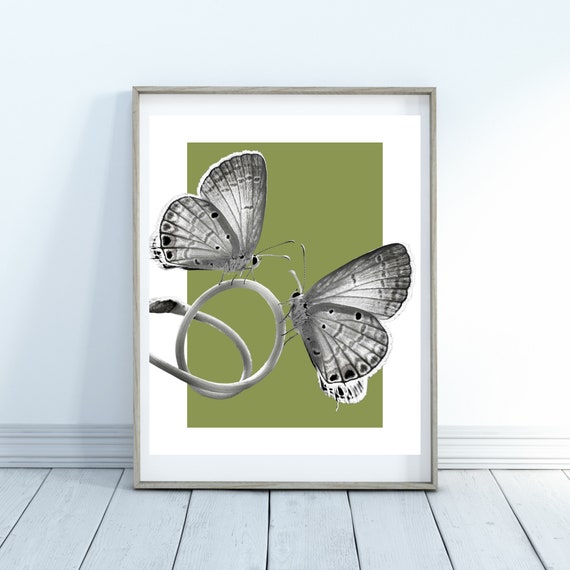 Twin Butterfly Butterfly Black White Butterfly Home Decor Wall Art Two Butterflies