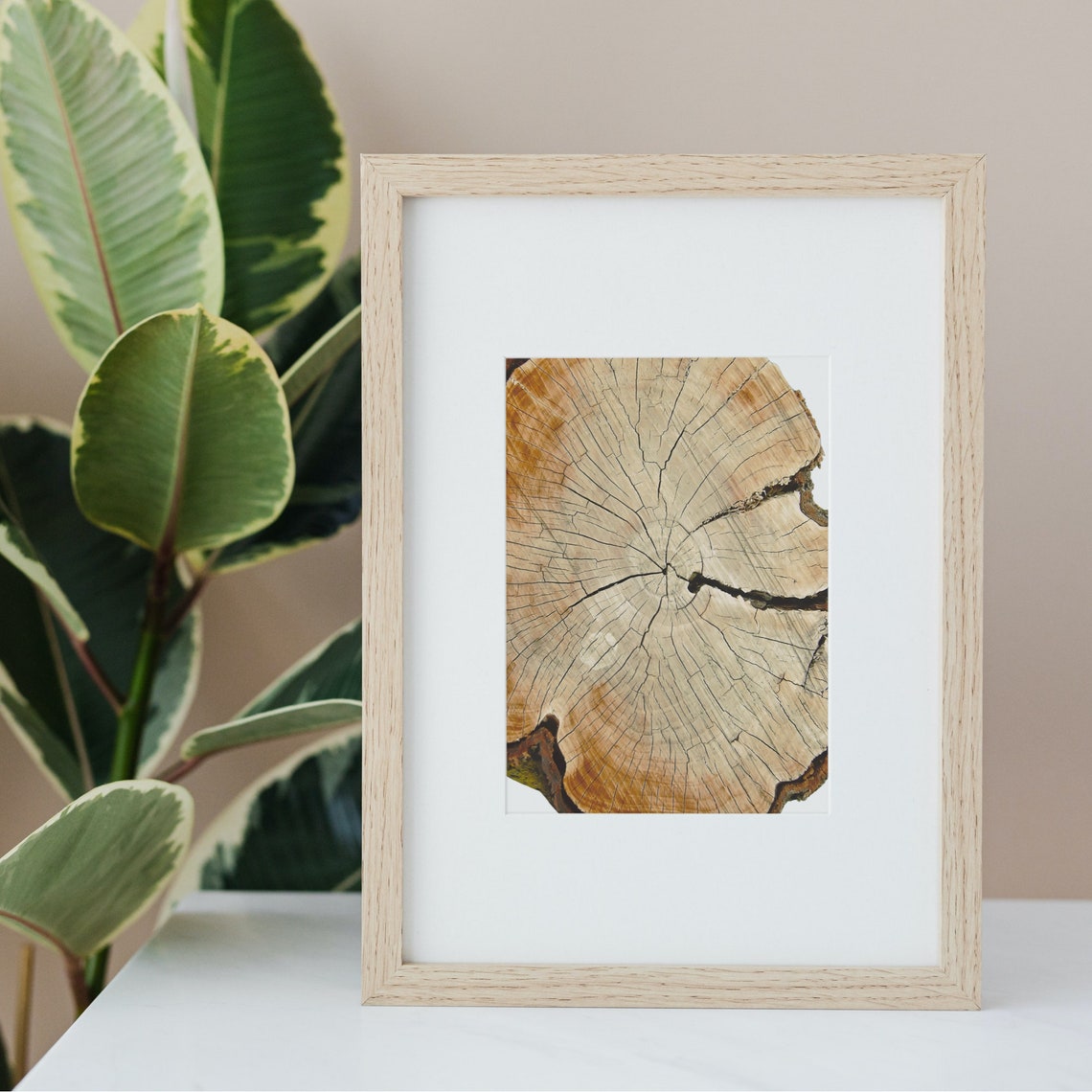 Tree Trunk Cross Section Growth Rings Rustic Nature Photo Poster - Image 4