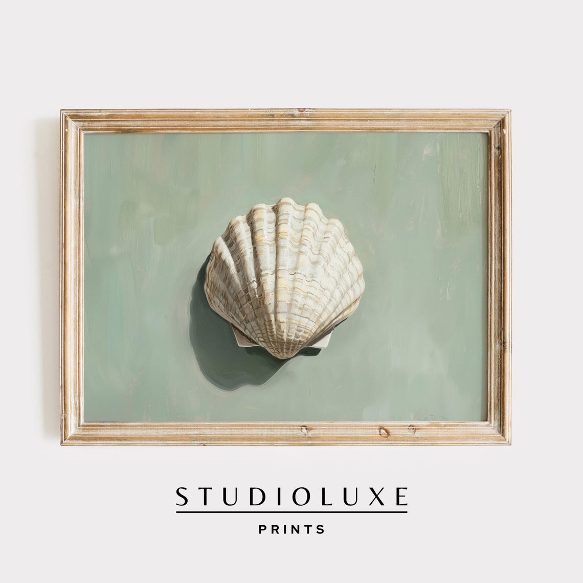 Scallop Shell Still Life on Sage Green Minimalist Coastal Poster