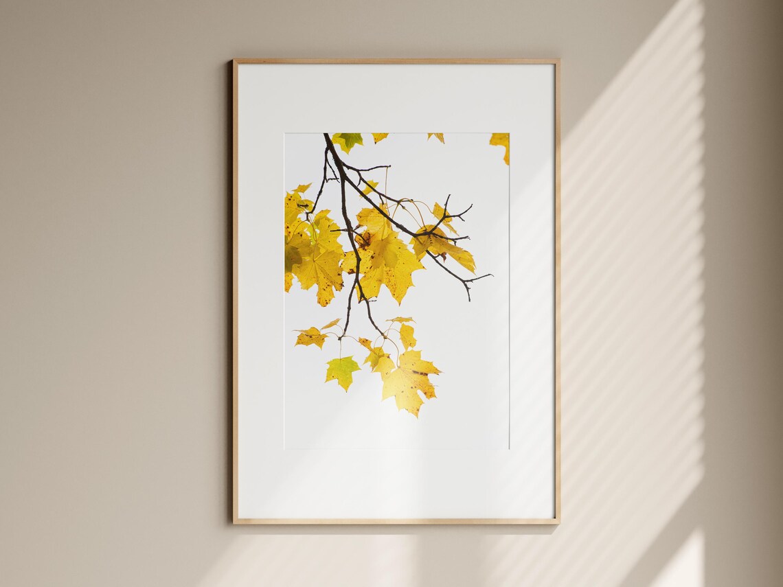 Yellow Leaves Photograph Minimalist Autumn Botanical Art Wall