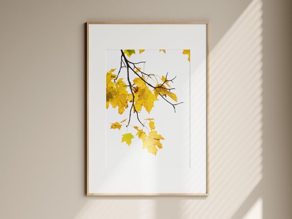 Minimalist Yellow Maple Leaves Photo Poster Autumn Branch Botanical