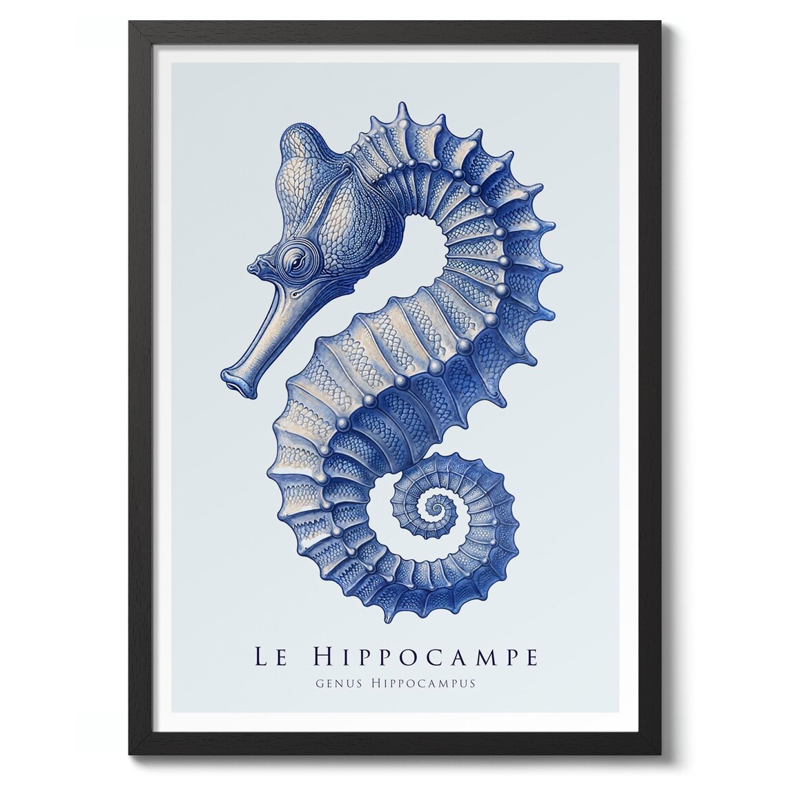 Seahorse Nature Illustration Art Print, Sea Life Decor