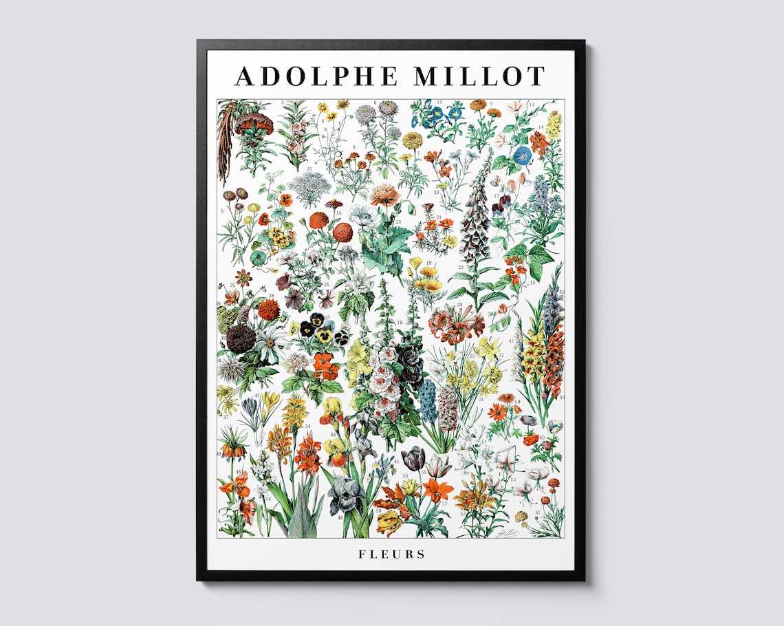 Flowers by Adolphe Millot Vintage Botanical Art Print