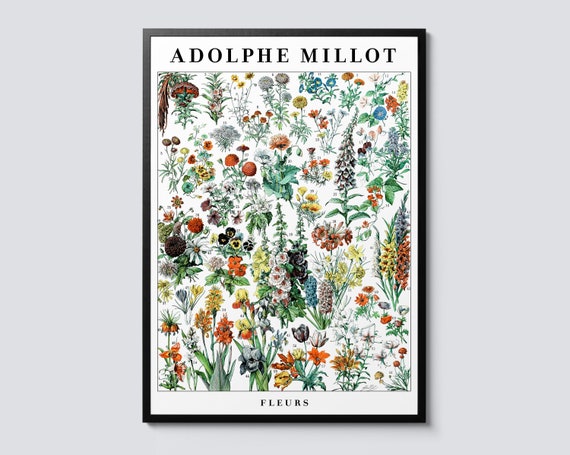 Flowers by Adolphe Millot Vintage Botanical Art Print